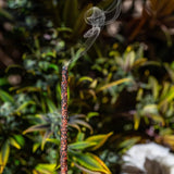 Sahumerio Tropicana Cookies Sagrada Madre