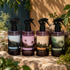 Pack Mayorista Aromatizadores Exotic Destination x12 – Aquí & Ahora