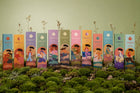 Pack Mayorista Sahumerios Zodiaco x36