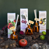 Difusores Varillas Huerta Organica  - Aqui&Ahora.