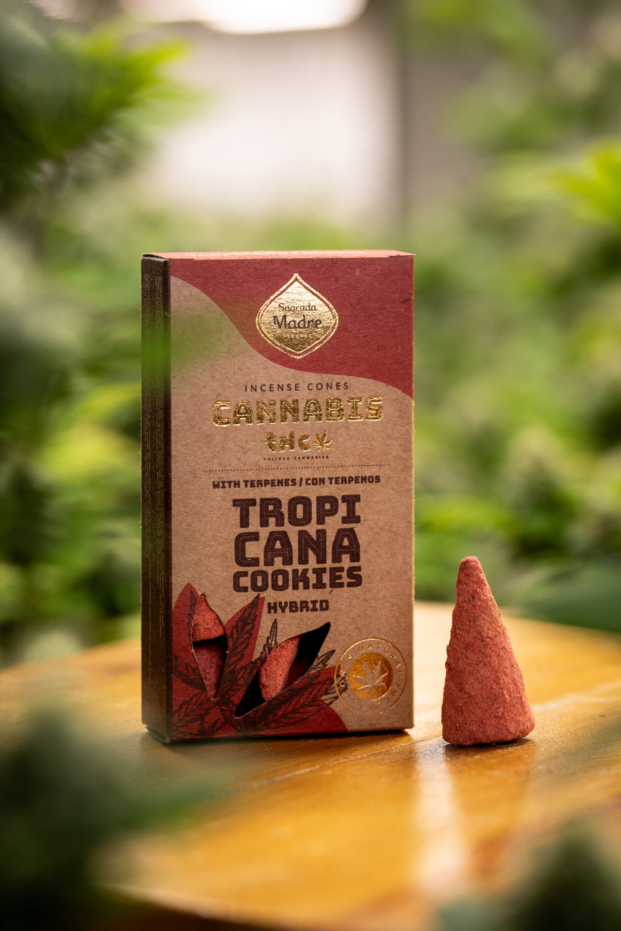 Conos Tropicana Cookies Sagrada Madre