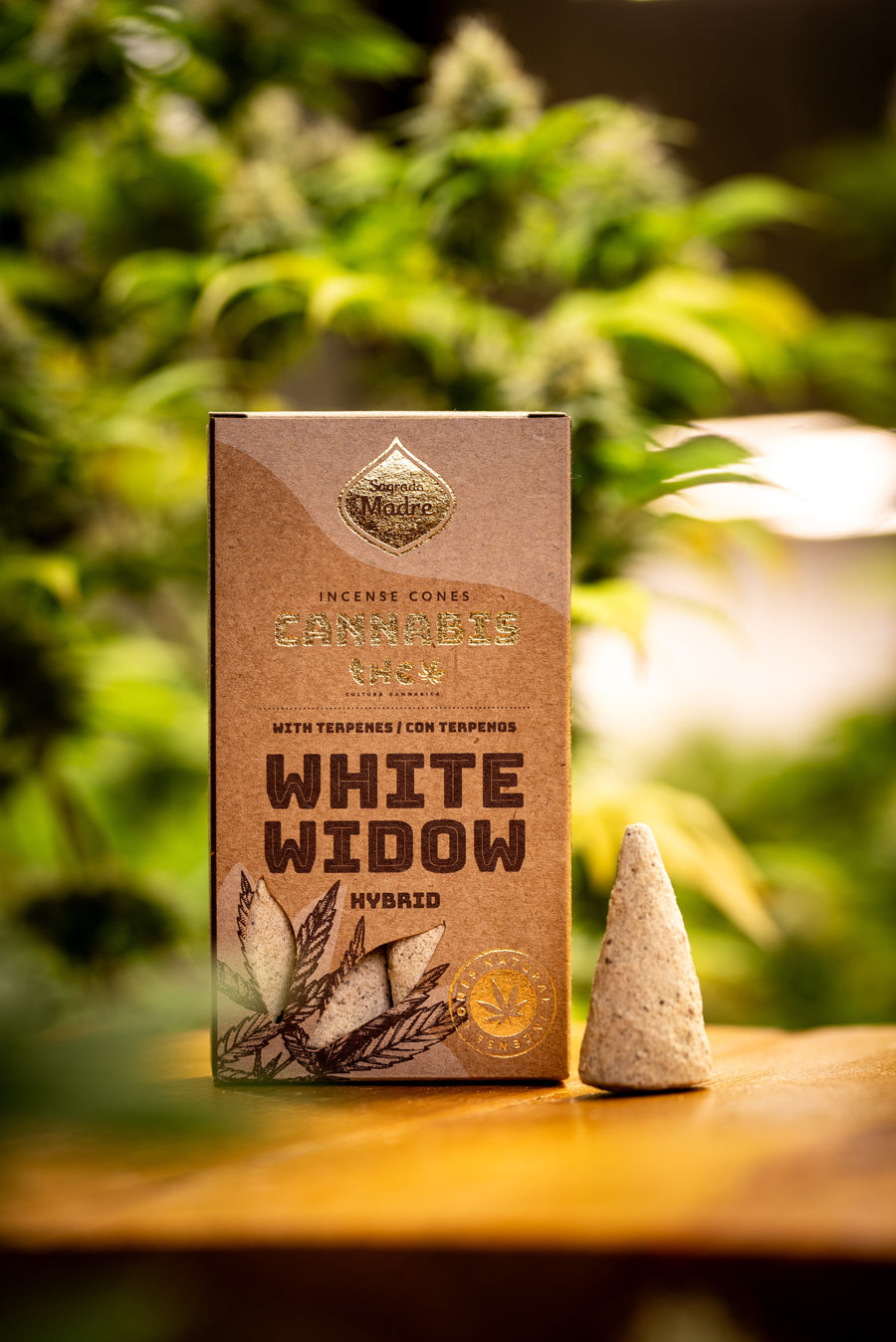 Conos White Widow Sagrada Madre