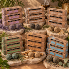 Pack Mayorista Bombitas x4 Sagrada Madre Surtidas x24