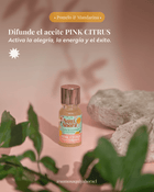 Ritual Prosperidad Natural - Aquí & Ahora