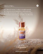 Ritual Intuicion - Aqui y Ahora