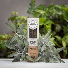 Sahumerio Herbal Salvia Blanca - Sagrada Madre