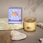 Velas de Soja PREMIUM – Nueva Versión con Más Aroma y Doble Mecha