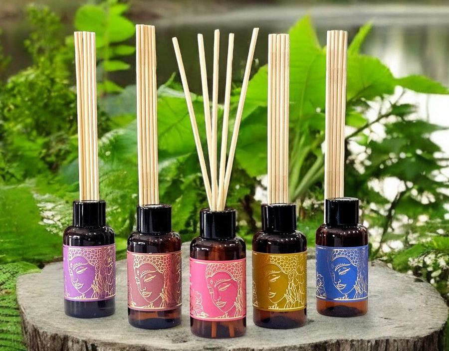 Difusor Aromático Aromanza 60 ML Manzana Canela - Portal Zen