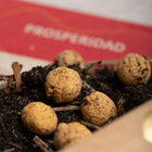 Kit Humito Sagrado Prosperidad - Sagrada Madre