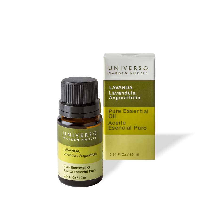Aceite Esencial Puro Lavanda - Universo Garden Angels Chile